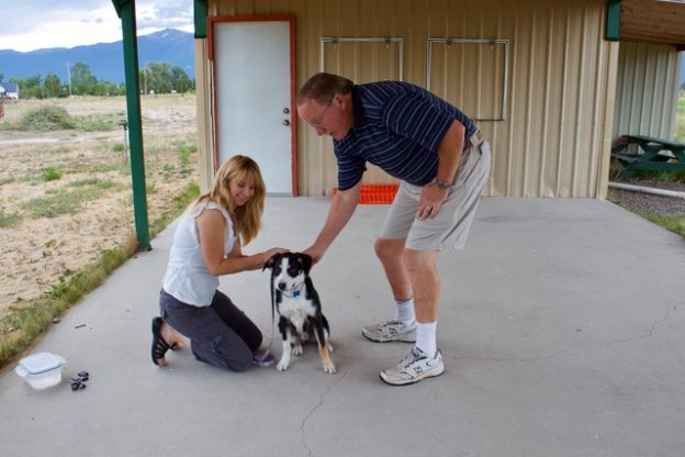 Group Obedience Classes