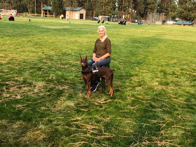 Person kneeling with Doberman in park